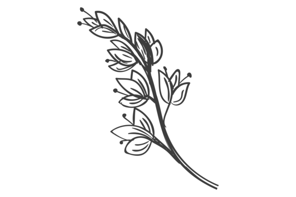 Decorative Botany Branch with Blooming F: A Designer's Guide