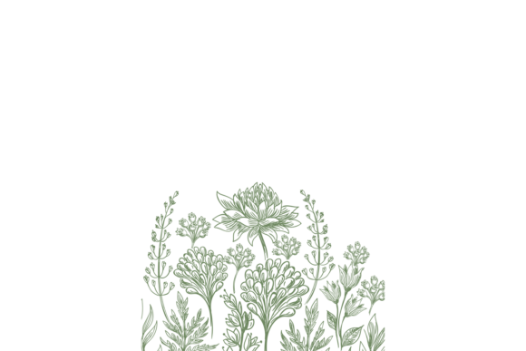 Hand Drawn Flower Card: A Touch of Vintage Botany