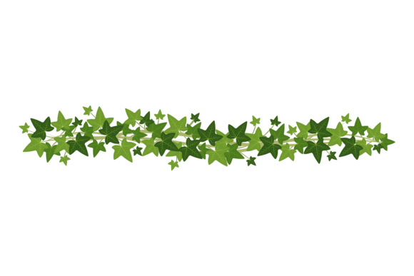 Herbal Green Element: Beauty Decorative for Nature Brands
